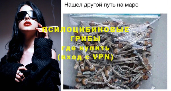 гашик Арсеньев