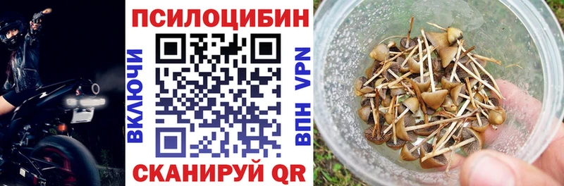 Галлюциногенные грибы мицелий  где можно купить   Балей 
